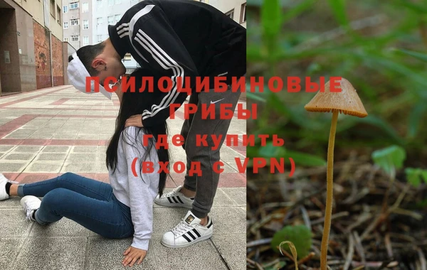 гидропоника Бугульма